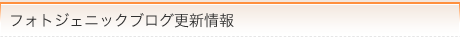 フォトジェニックブログ更新情報