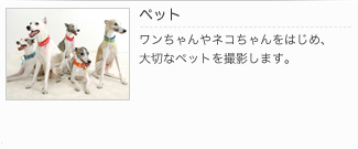ペット